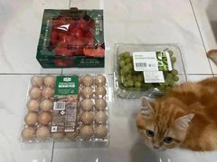 -山姆会员商店(上海浦东店)