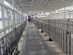 -武汉关码头(轮渡站)