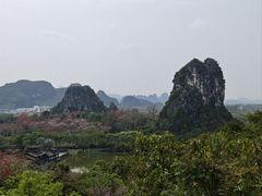 -南宁花花大世界景区