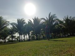 -三亚海棠湾喜来登度假酒店大堂吧