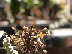 -HERB SPICE(来凤街店)