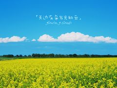 -草原天路(张北县)