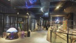 -酷嗒动物文化乐园(cutezoo西溪乐天城店)