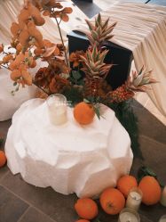 -Sugar苏格婚礼策划工作室