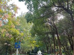 -大蜀山国家森林公园