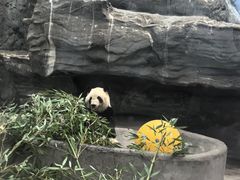 -鄂尔多斯野生动物园