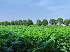 -上膳源有机农场