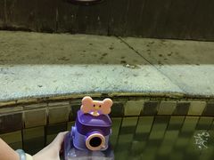 -三江森林温泉度假区