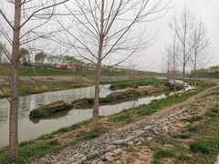 -洨河生态公园