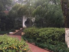 -赭山公园