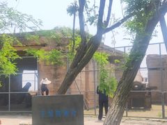 -汤山公园