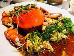 葱姜膏蟹-维园悦谱·海派家常菜(乌鲁木齐南路店)