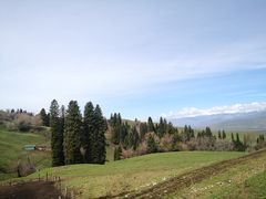 -新疆那拉提国家旅游度假区