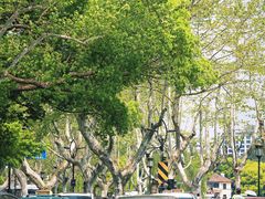 -北山街历史文化街区