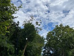 -青岛德国总督楼旧址博物馆