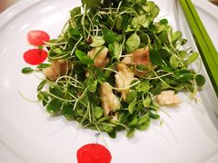 桃仁香椿苗-中国徽菜·徽商故里(广安门店)