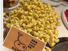 -周师兄大刀腰片火锅(磁器口直营店)