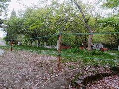 -西安青龙寺遗址景区