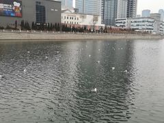 -马栏河运动公园