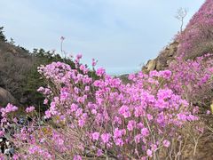 -青岛大珠山景区