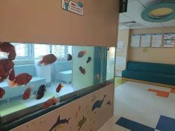 -杭州贝瑞斯美华妇儿医院·早孕·产检·儿科