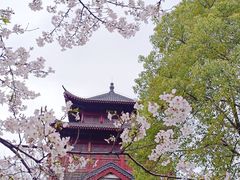 -堤角公园