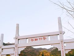 -竹子庵公园