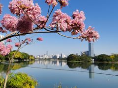 -南宁南湖公园