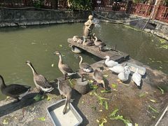 -香山小厨(南联路店)