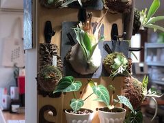 -本無咖啡·BeanWood Coffee