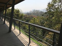 -西湖风景区-江洋畈生态公园
