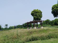 -九里河湿地公园