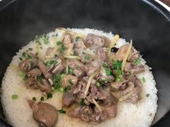 -大鸽饭(马王堆店)