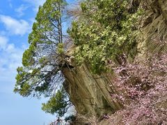 -少华山国家森林公园