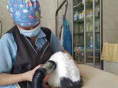 -瑞鹏瑞爱宠物医院·全科·猫科·血液透析中心(龙头寺店)