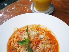 -Fern Forest Cafe