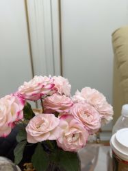 -U3美甲