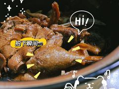 -百家春好德来姜母鸭