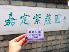 -嘉定紫藤园