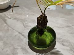 -陶兰居·香港饭店·海鲜大排档(圆融时代广场店)