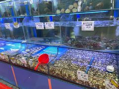 -晶渔坊·海鲜私房菜(东夷小镇店)