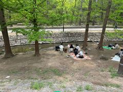 -白水寺森林公园