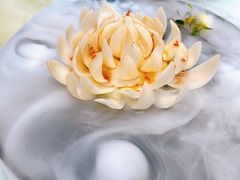 -上海会馆(香港名都店)