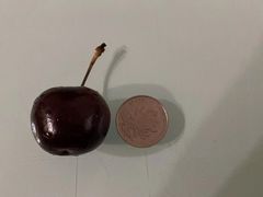 -西郊国际农产品交易中心