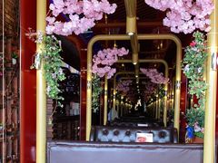 -杯子红牛排(西樵店)