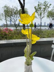-玄武湖景区-情侣园游乐场