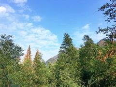 -藏龙百瀑风景区