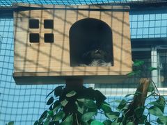 -青藏高原野生动物园