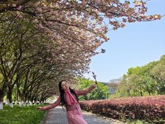 -南京奥林匹克体育中心
