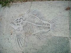 -暨阳湖生态园